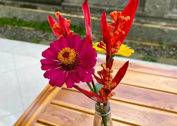 Uma Dwara Ubud